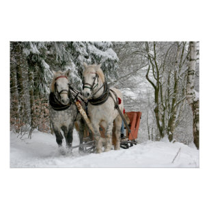Poster traîneau+ride, neige, forêt, cheval, hiver, blanc,
