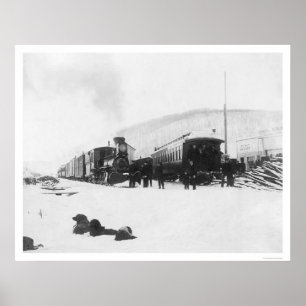 Poster Trains et chiens Alaska 1916