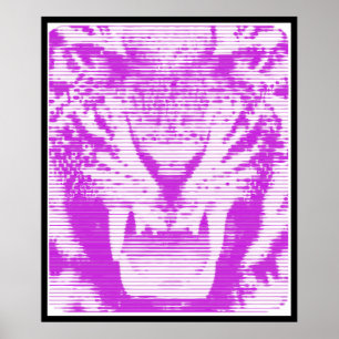 Poster Traits horizontaux de tigre pourpre fâché