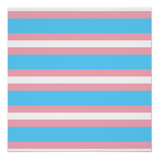 Poster trans (Devant)