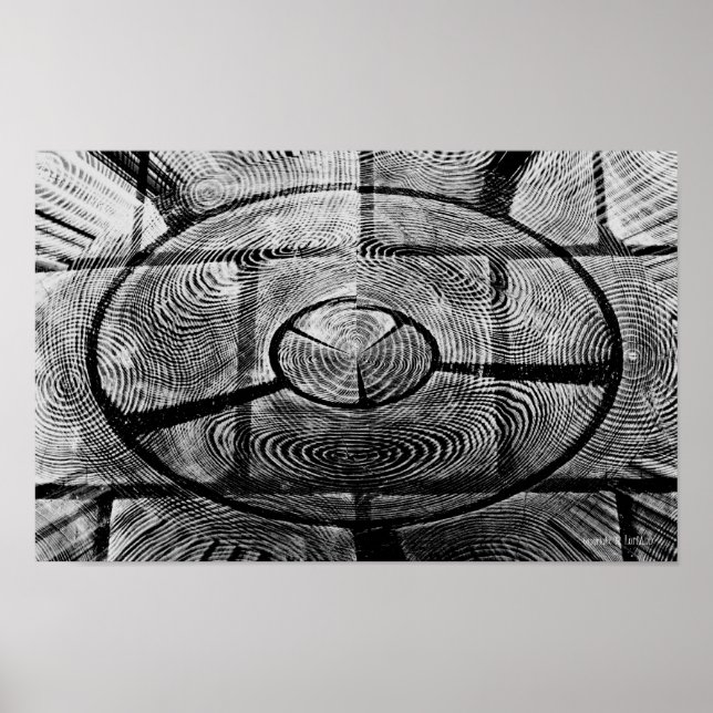 Poster Transmission finale (Devant)