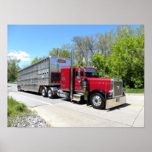 Poster Transport Brown 379