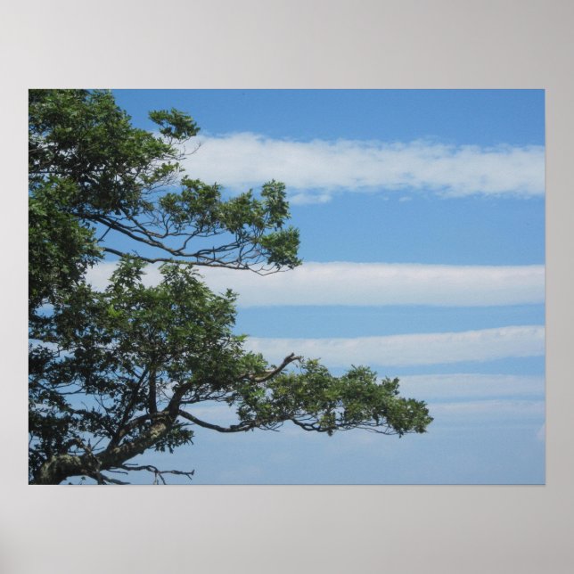 Poster Tree in the Clouds (Devant)