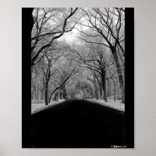 Poster Tree Tunnel