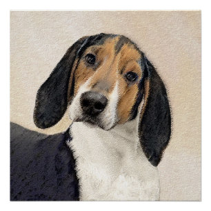 Poster Treeing Walker Coonhound Peinture - Art original
