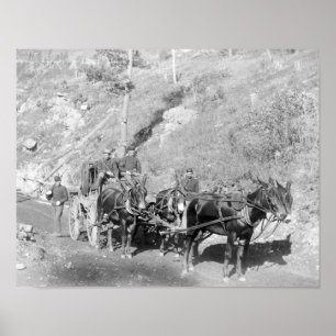 Poster Trésorier et gardes des USA sur la route de bois