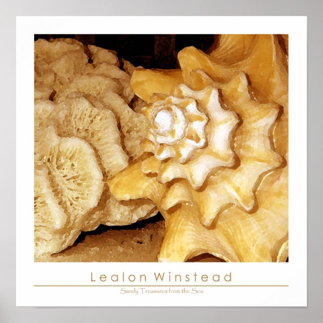 Poster Trésors de sable de la mer (Devant)