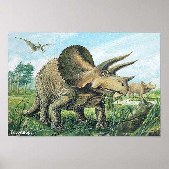 Poster Triceratops (Devant)