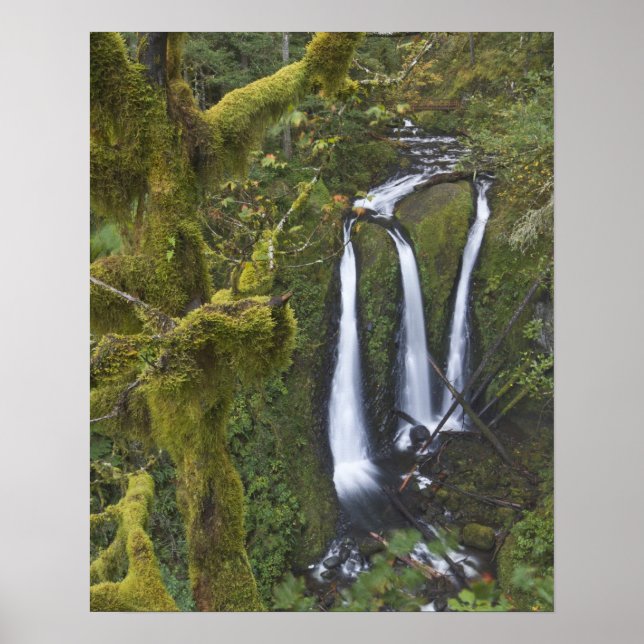 Poster Triple Falls, Gorge du Columbia (Devant)