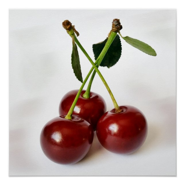 Poster trois cerises aigre (Devant)