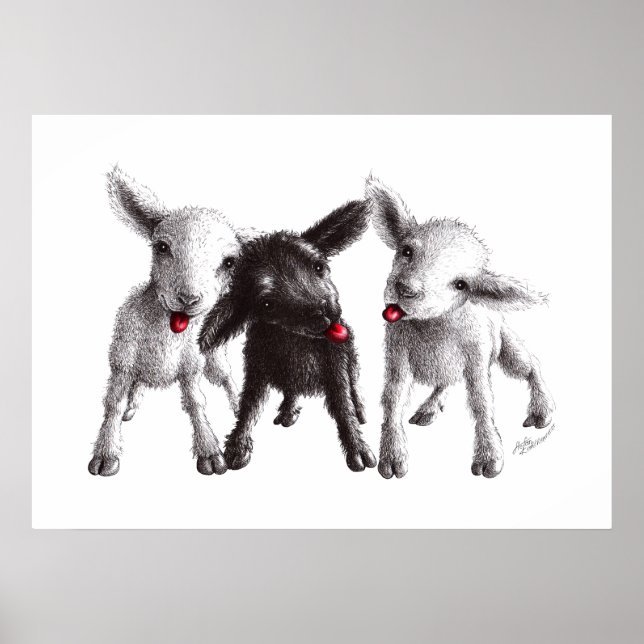 Poster Trois Drôle Cheeky Sheep (Devant)
