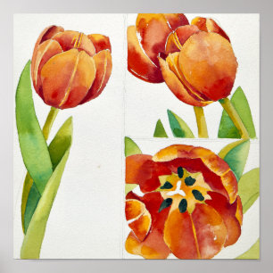 Poster Trois études sur les tulipes dans un certain 2013