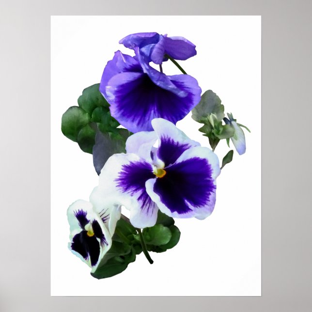 Poster Trois panneaux violets dans une rangée (Devant)
