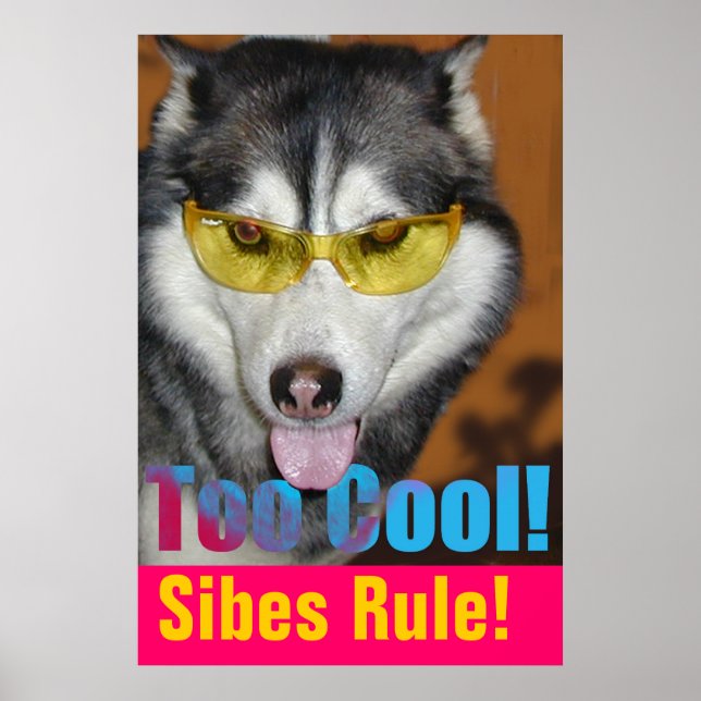 Poster trop Cool (Devant)