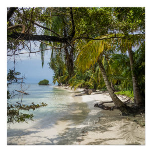 Poster Tropical Grove