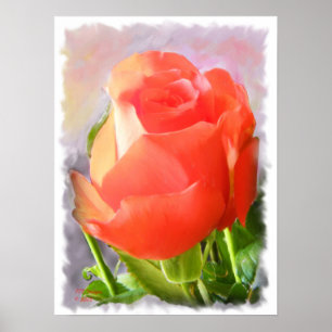 Poster Tropicana Rose - Peinture