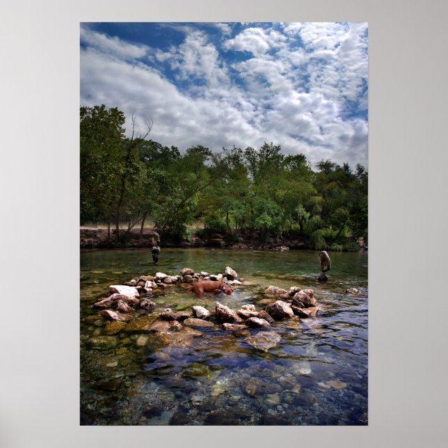 Poster Trou de natation de chien de Barton Creek - Austin (Devant)