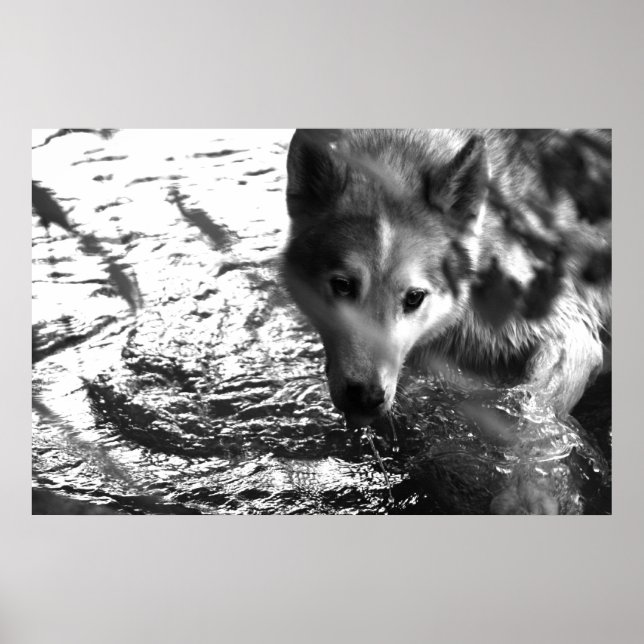 Poster Trou d'eau (Devant)