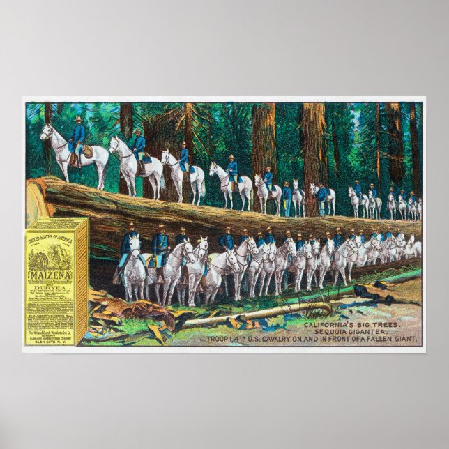 Poster Troupe I sur et devant Fallen Giant (Devant)