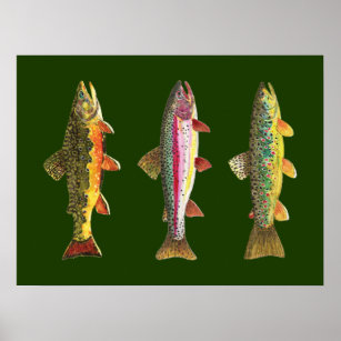 Poster Trout fishing