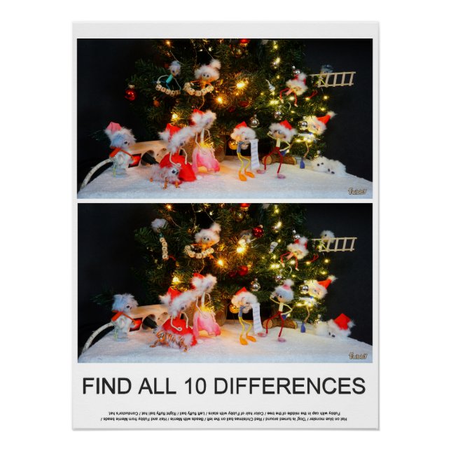 Poster Trouvez les 10 différences de l'image des Fubby's. (Devant)