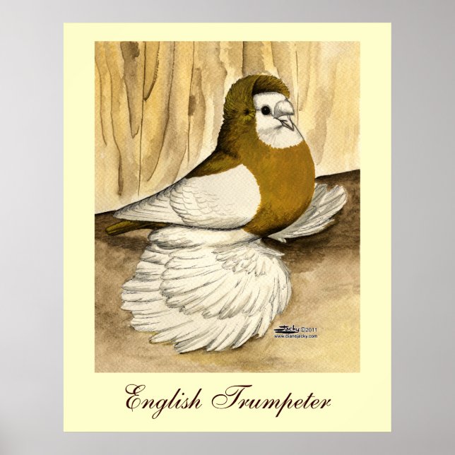 Poster Trumpeter Pigeon jaune (Devant)