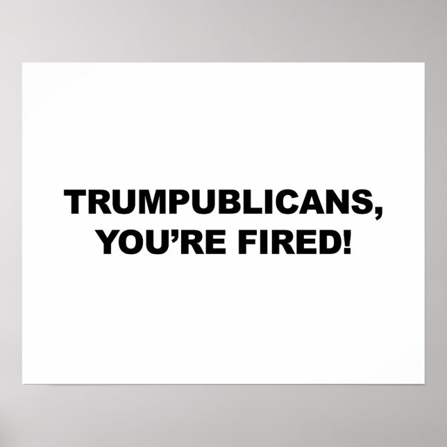 POSTER TRUMPUBLICAINS, VOUS ÊTES FOUILLÉS ! (Devant)