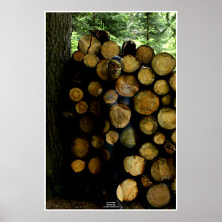 Poster Trunks de Johannes Stötter