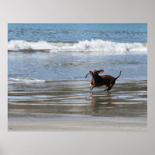 Poster Tsunami Harry (Devant)