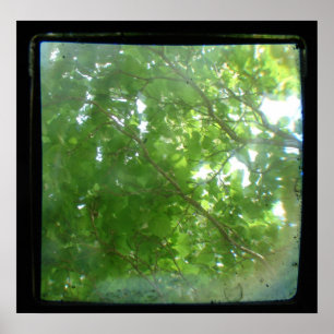 Poster TTV feuille