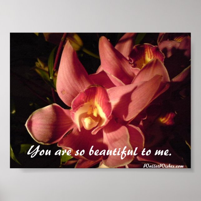 Poster Tu es si belle pour moi. (Devant)