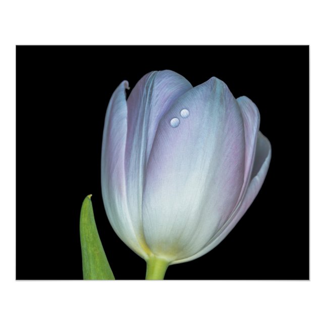 Poster Tu y yo. (Devant)