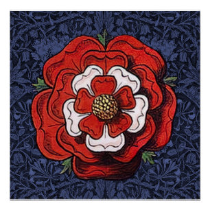 Poster Tudor Rose rouge et blanc
