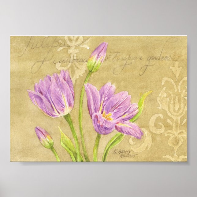 Poster Tulip Purple Garden Notes 7x5 (Devant)
