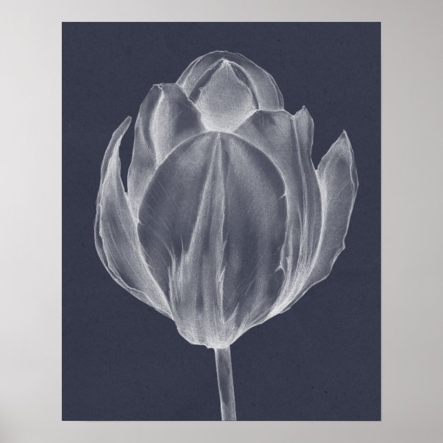 Poster Tulipe monochrome I (Devant)