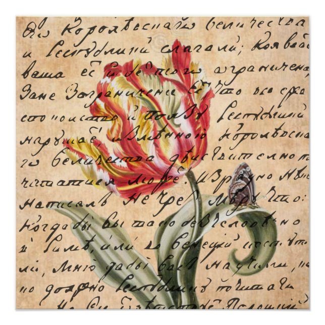 Poster Tulipes de printemps et écriture manuscrite (Devant)