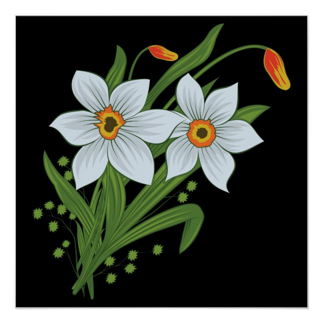 Poster Tulipes et jonquilles Fleurs Fond noir (Devant)