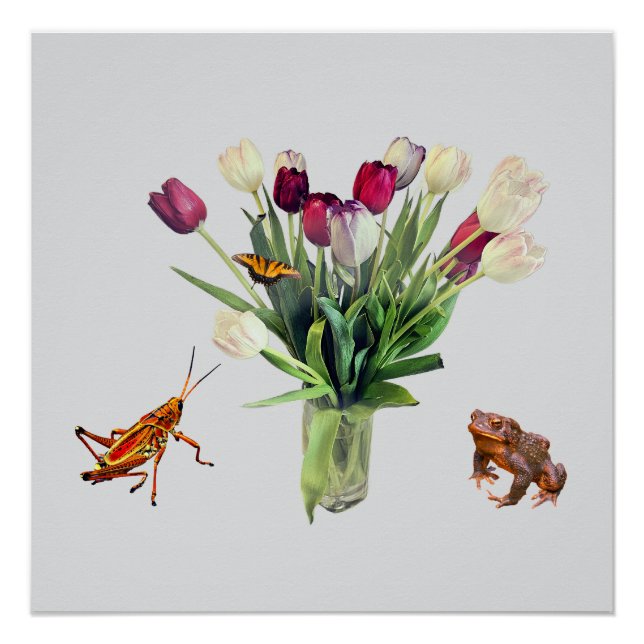 Poster Tulipes, Sauterelle, Papillon et Grenouille  (Devant)