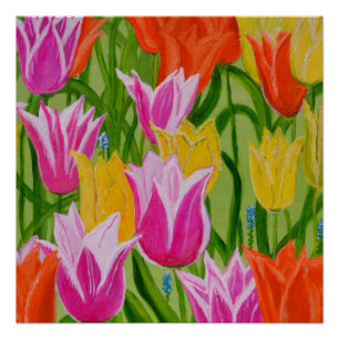 Poster Tulips1