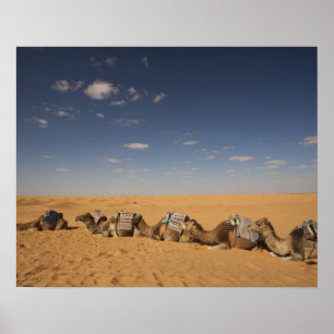 Poster Tunisie, région des Ksour, Ksar Ghilane, Grand Erg