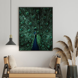 Poster Turquoise et Green Peacock Wall Art