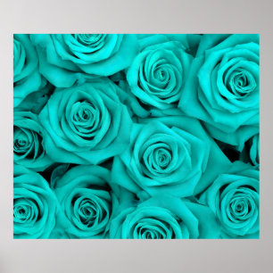 Poster Turquoise Spectaculaire Roses