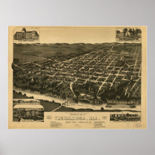 Poster Tuscaloosa Alabama 1887 Panoramic Map