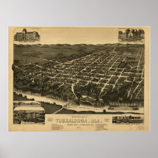 Poster Tuscaloosa Alabama 1887 Panoramic Map (Devant)