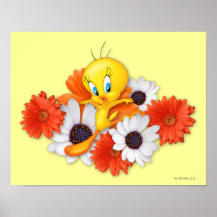 Poster Tweety Avec Marguerites