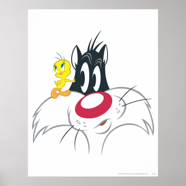 Poster TWEETY™ En action Pose 12 (Devant)