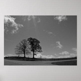 Poster Twin Trees Mountain Meadow