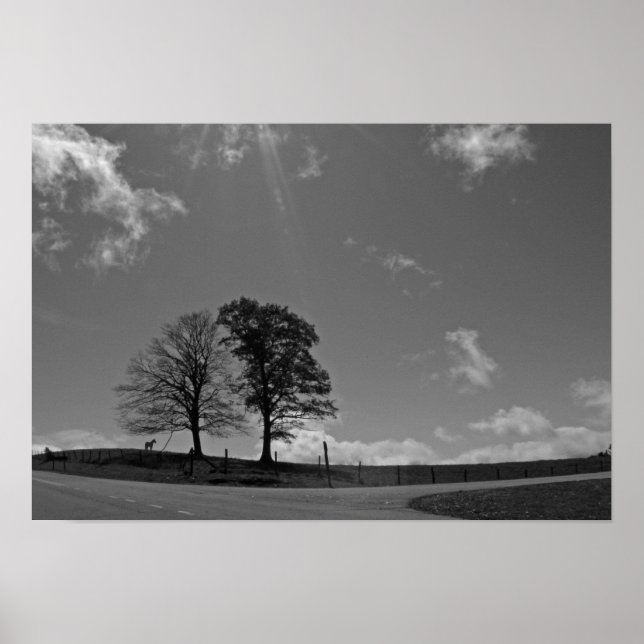 Poster Twin Trees Mountain Meadow (Devant)