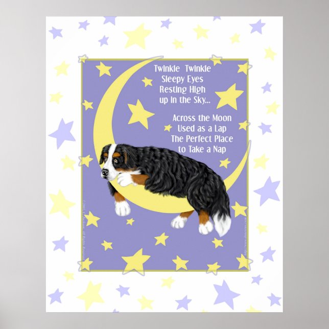 Poster Twinkle chien de montagne bernois (Devant)