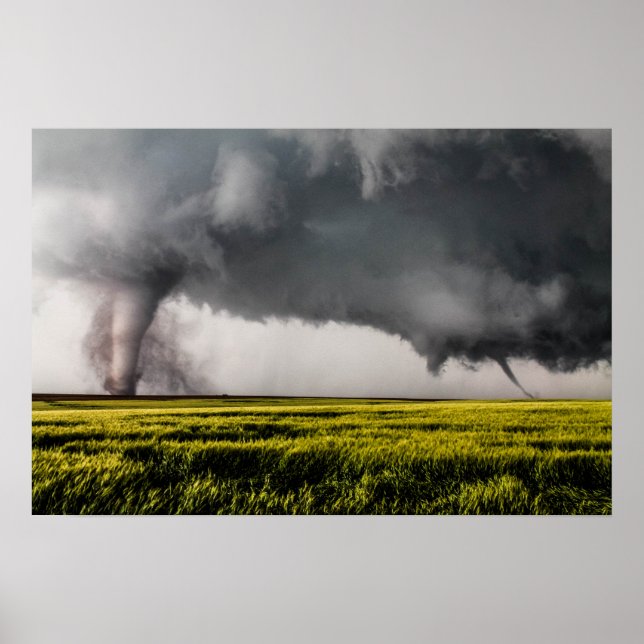 Poster Twins (Devant)